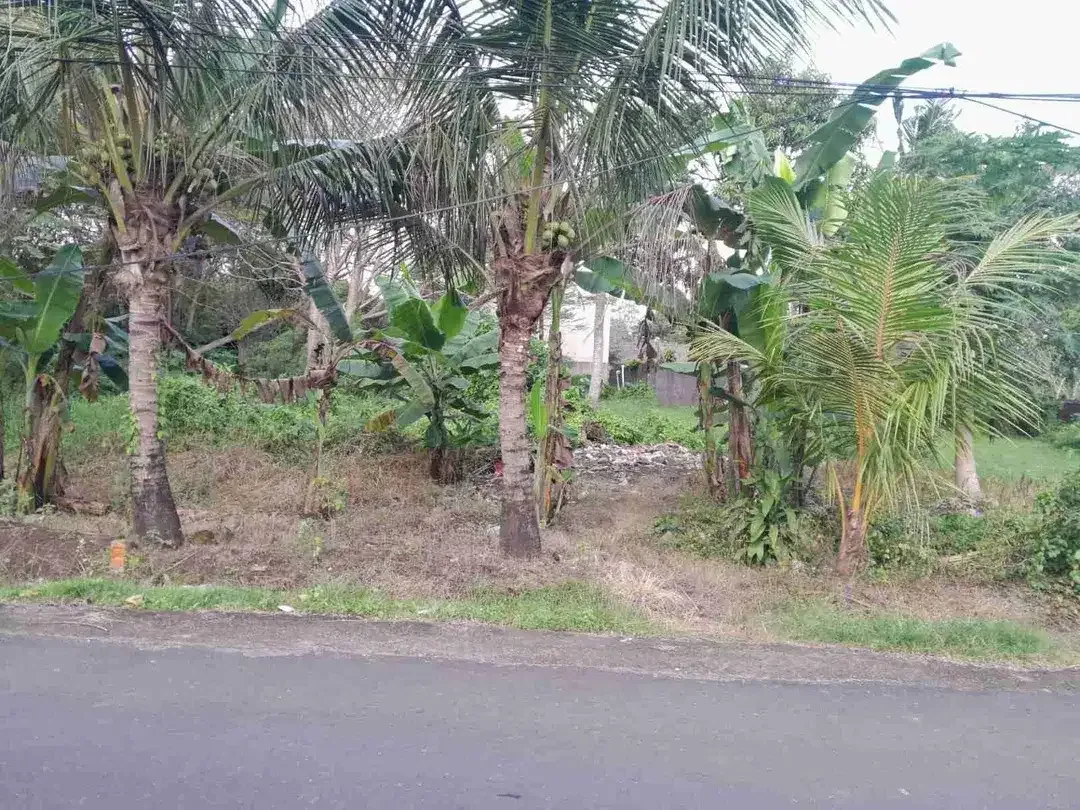 Tanah 195m2 di kaba- kaba Lingk Villa - Image 5 of 9