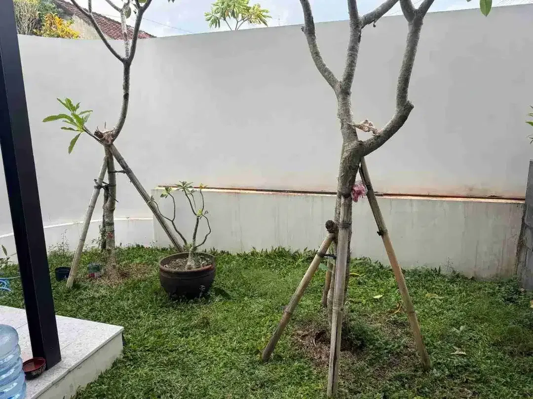 RUMAH MEWAH TUNJUNG TUTUR VIEW SAWAH
JUAL RUMAH SEMI VILLA MODERN MINIMALIS
LOKASI AREA JALAN TUNJUNG TUTUR PAGUYANGAN DENPASAR UTARA - Image 8 of 10