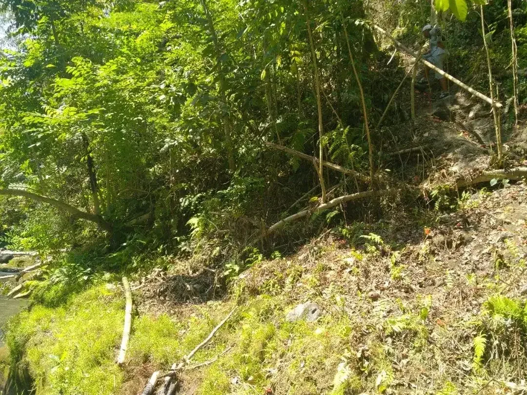 Freehold - 1.500 sqm Riverfront land for sale in south Ubud - Image 3 of 10