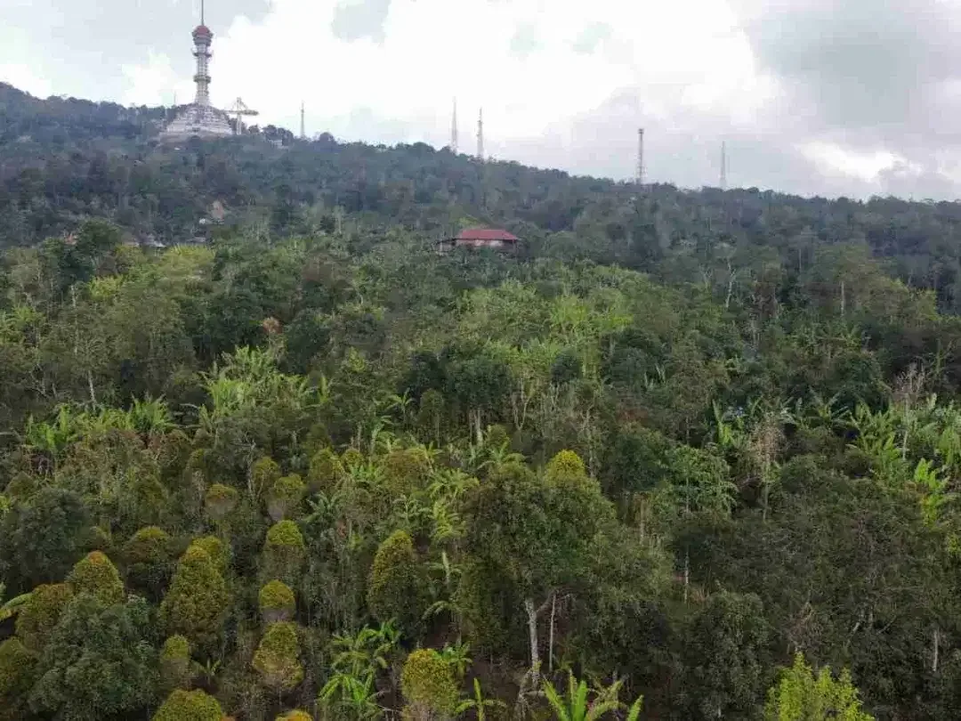 Tanah 30 Ha View Alam Kawasan Turyapada Buleleng - Image 4 of 8