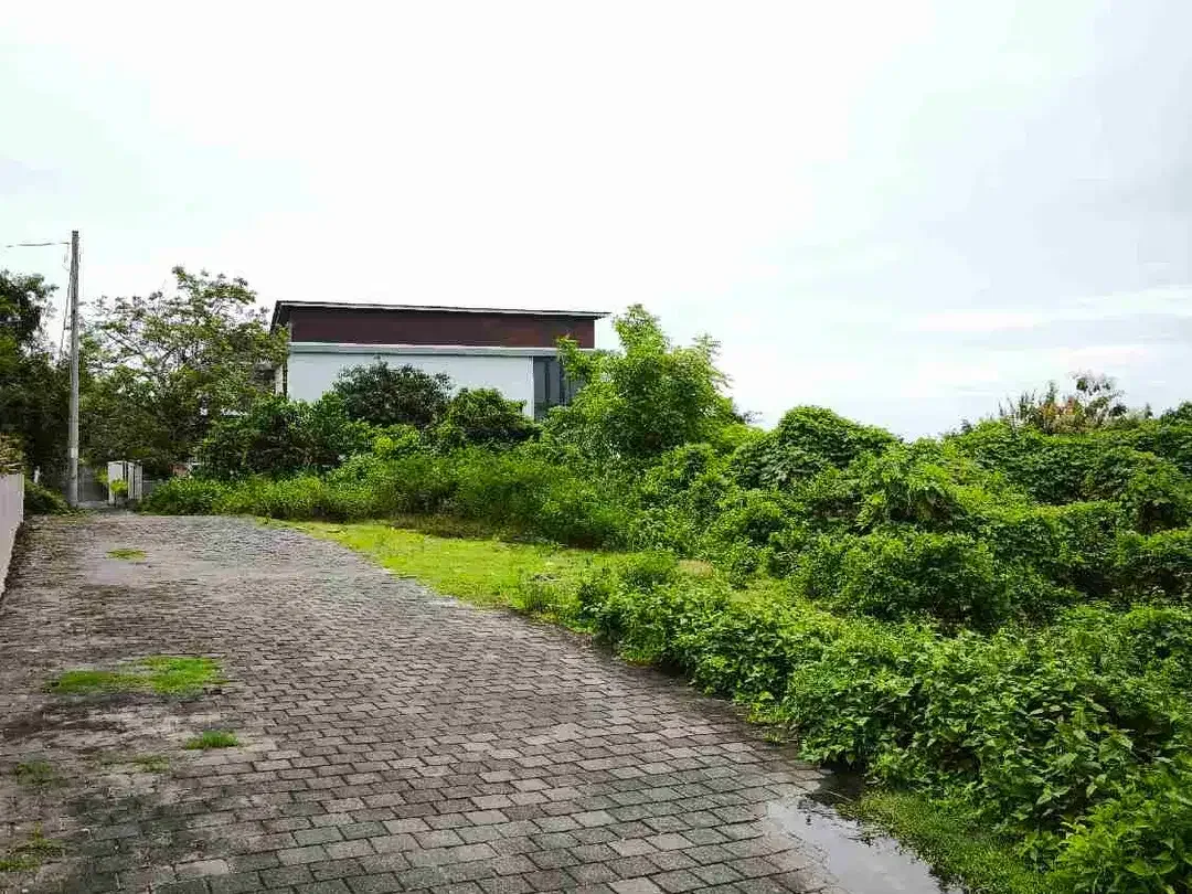 disewakan tanah  harga 22 juta /are /th Ocean view unblock dipurigading jimbaran Kuta Selatan Badung Bali - Image 6 of 8