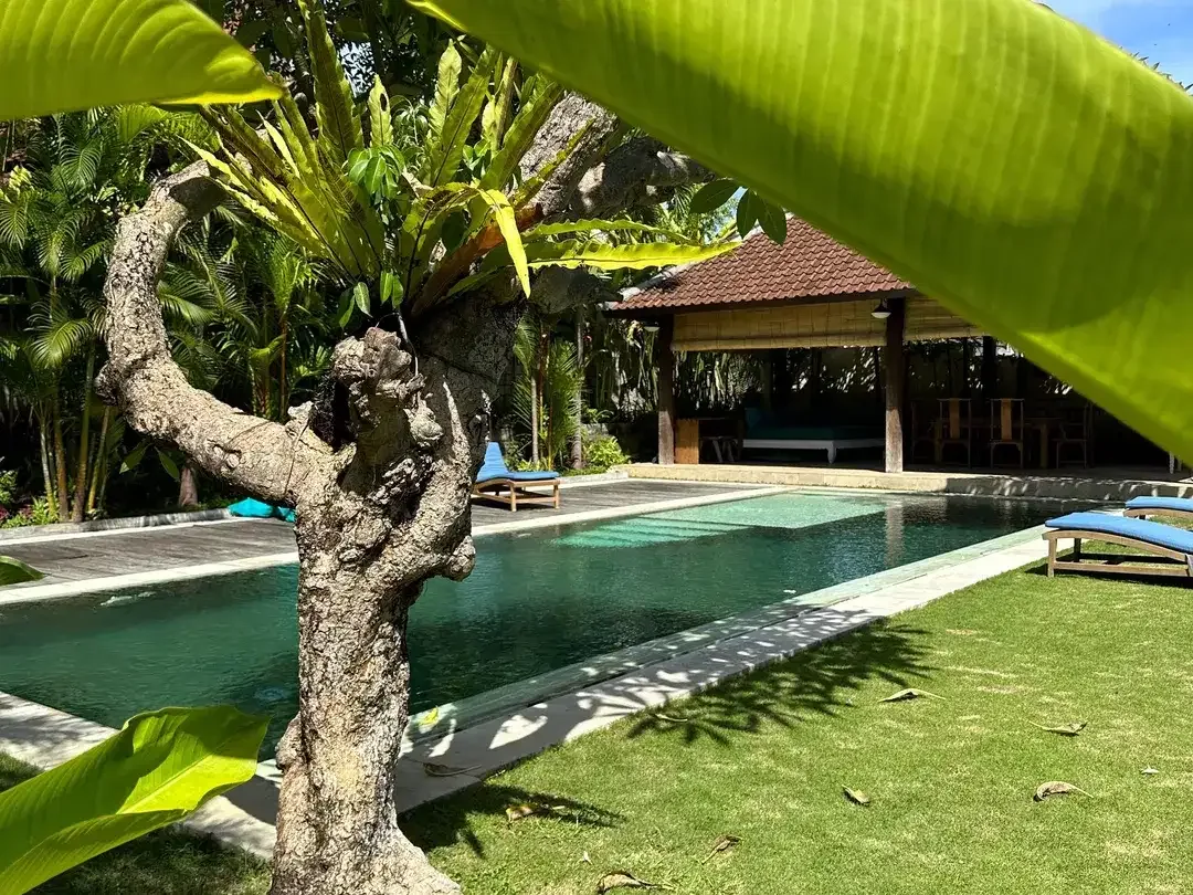 5 Bedroom Villa for sale in Mengwi, Bali - Image 2 of 10