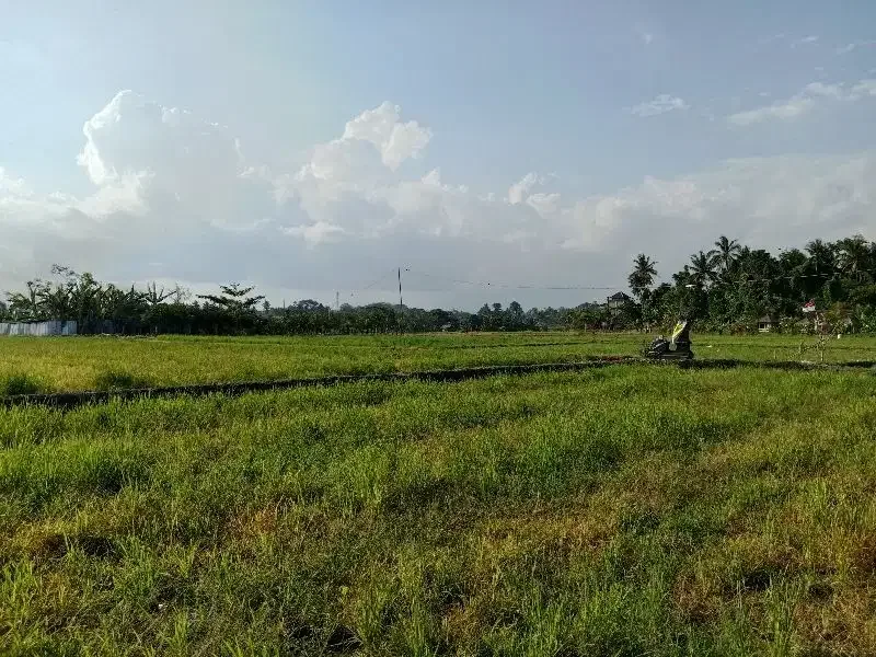 DIJUAL TANAH COCOK UNTUK GUDANG DAN USAHA - Image 6 of 9
