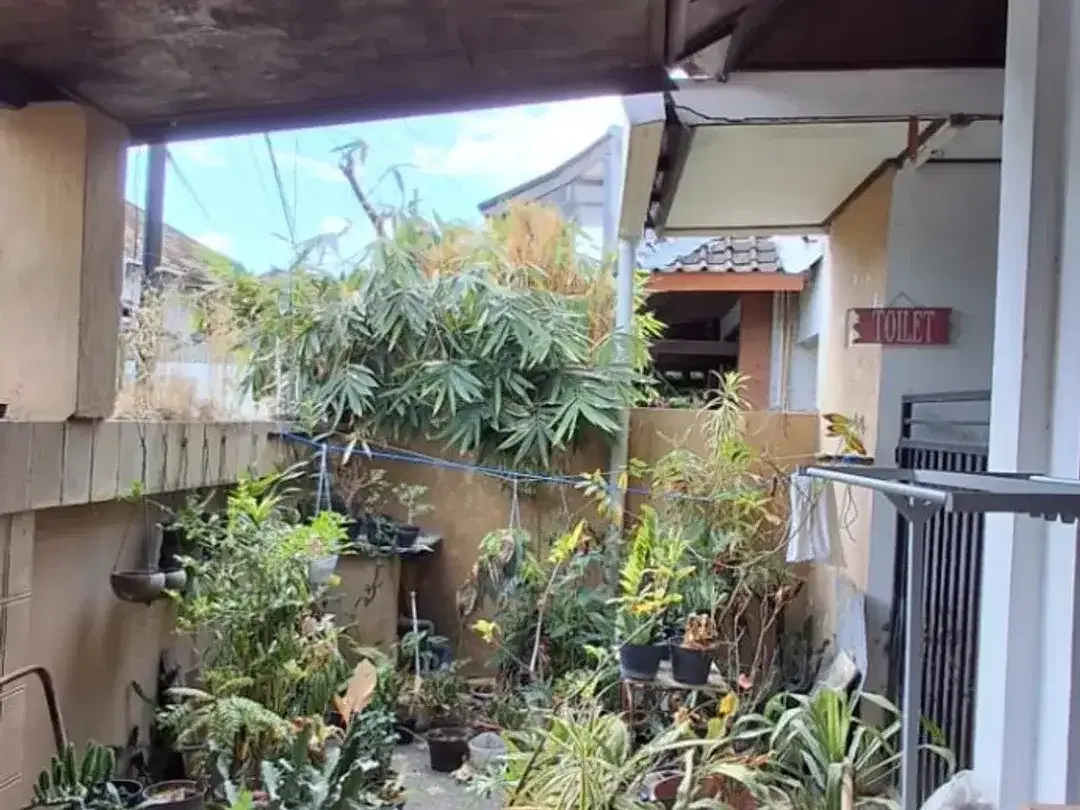 Dijual Cepat Tanah+Bangunan di Jimbaran - Image 6 of 9