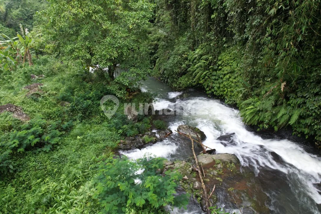 Tanah 98 Are Berisi Air Terjun Pinggir Aspal Lemukih Buleleng Bali - Image 3 of 4