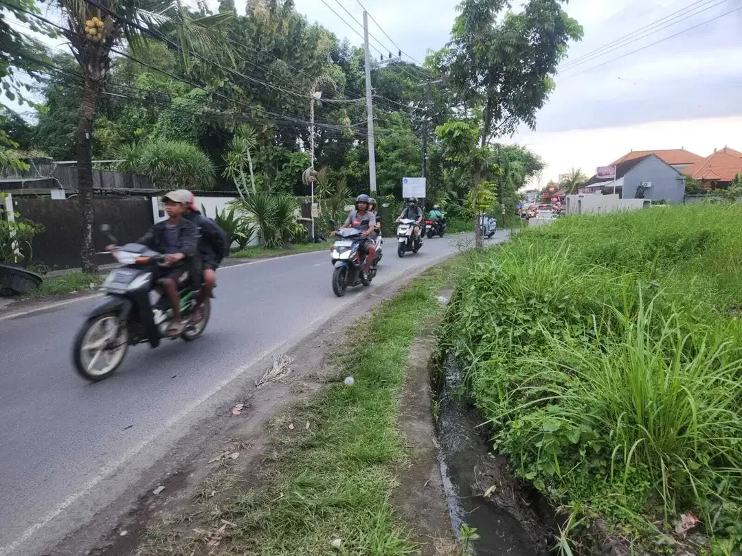 Tanah Komersial Disewakan di Padang Linjong Canggu - Image 5 of 7
