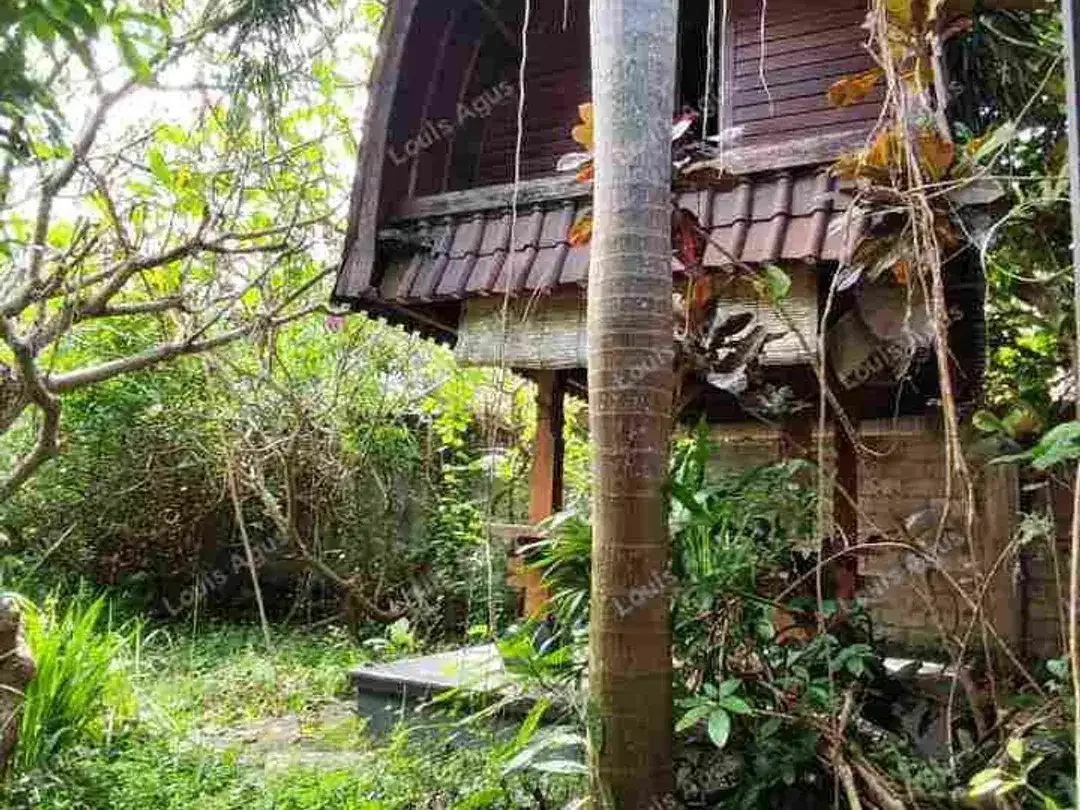VILLA DAN PENDOPO STRATEGIS DI JL. SELUKAT - KERAMAS, GIANYAR, BALI - Image 1 of 5