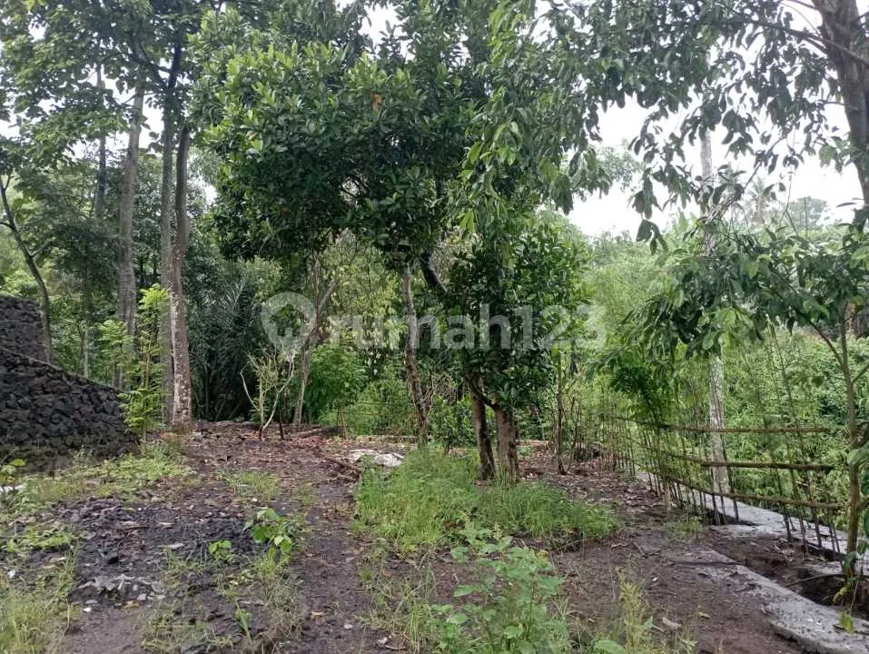 Tanah Dekat Pantai Kedungu Belalang Shm 780.0 MÂ² - Image 3 of 4