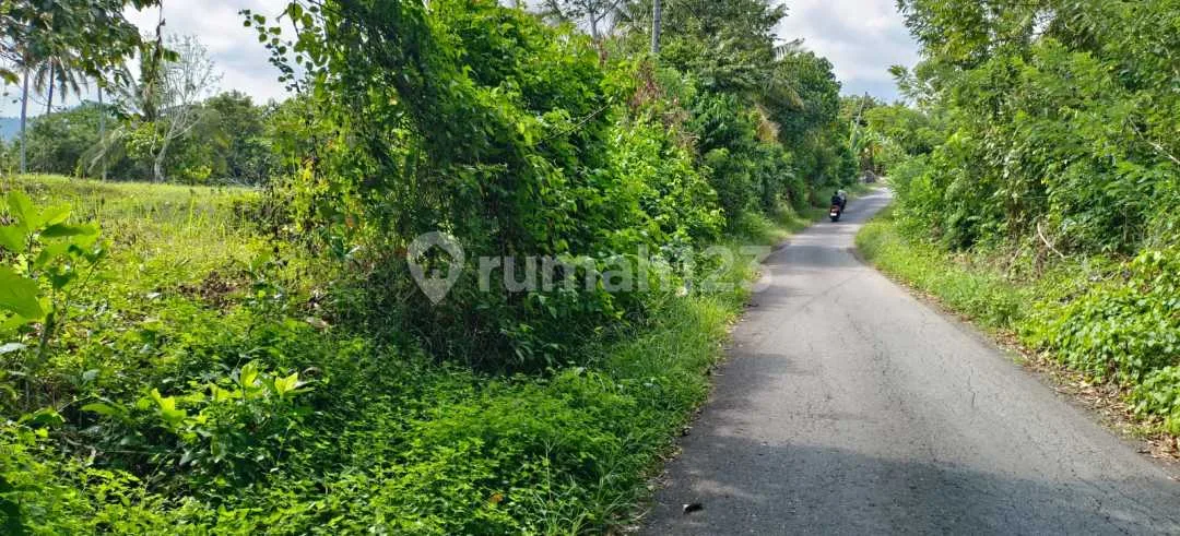 Jual Tanah Kebun Los Sungai Kontur Datar Dekat Jalan Utama,Di Tabanan Bali. - Image 3 of 4