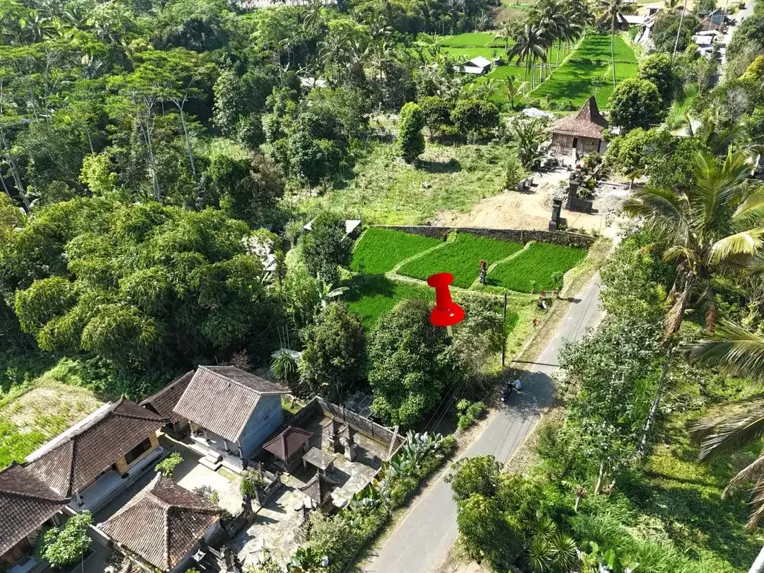 Tanah Tegalallang Ubud Pemandangan Sawah dan Sungai Kecil - Image 4 of 10