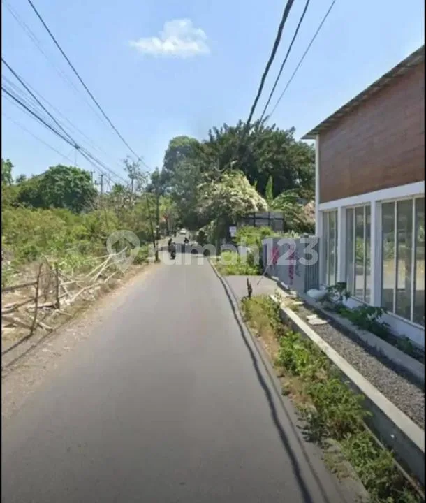Tanah Murah Main Road Jln Bidadari Seminyak Badung - Image 3 of 4