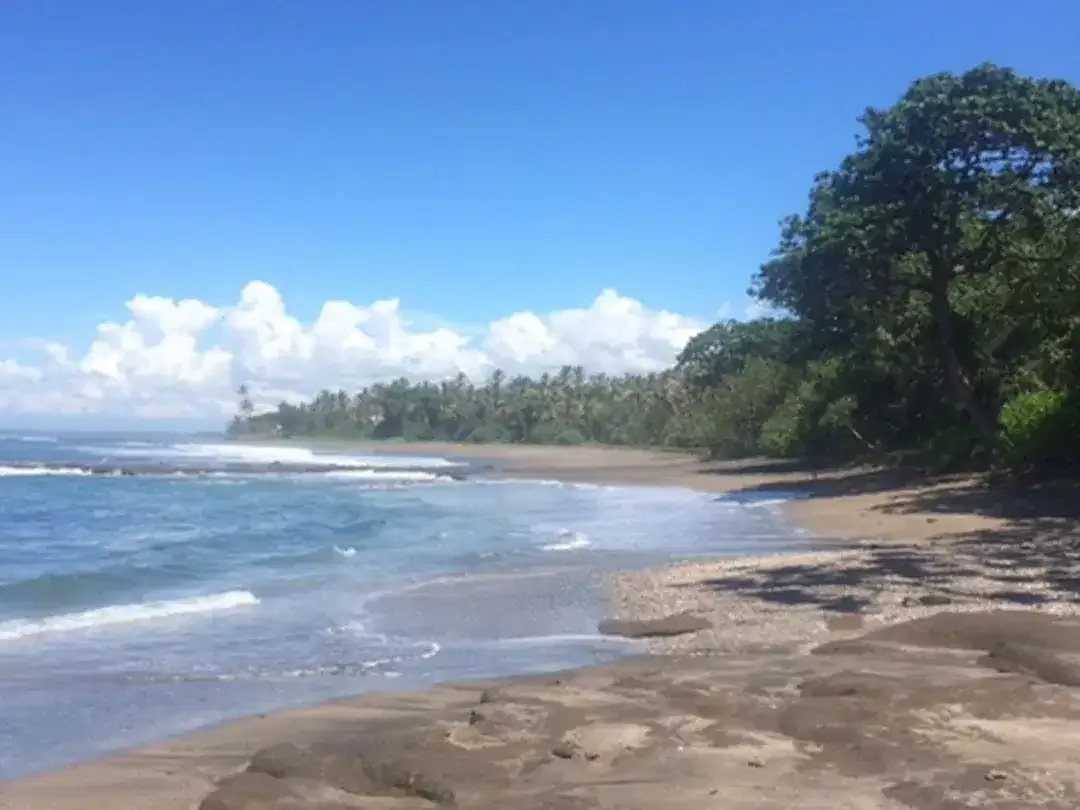 Amazing 37,915 Sqm Beachfront Freehold Land In Jembrana Negara - Image 3 of 10