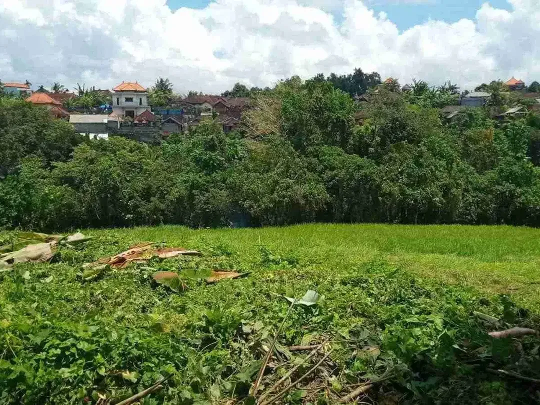Tanah bagus sangat cocok di bangun villa dan hunian lain nya - Image 1 of 7