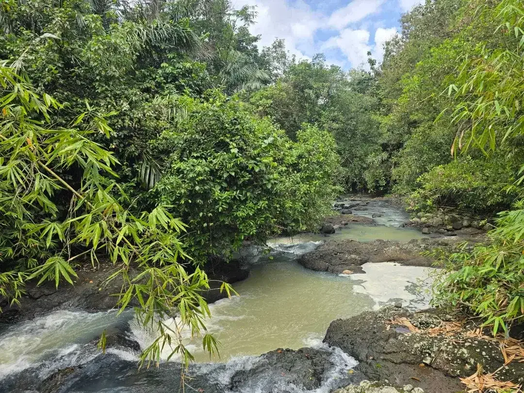 Dijual tanah view sungai dekat villa galalima glamping bali - Image 1 of 10
