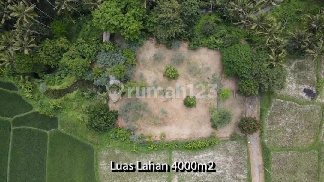 Dijual Tanah Strategis Lodtunduh Ubud - Image 4 of 4