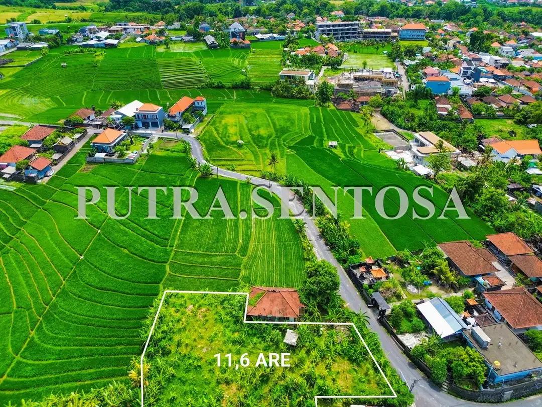 TANAH PERERENAN TUMBAK BAYUH JALAN UTAMA - Image 1 of 9