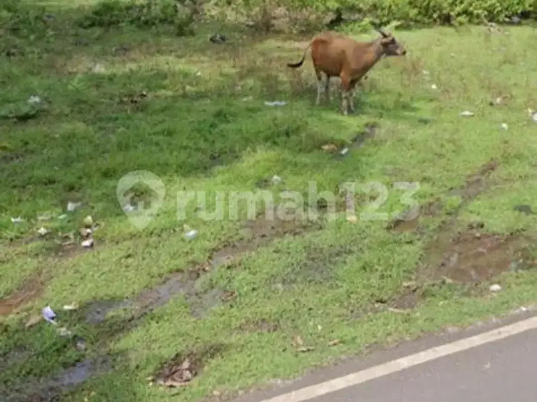 Dijual Tanah Dekat Pantai Balangan - Zona Pink (Pariwisata) - Image 4 of 10