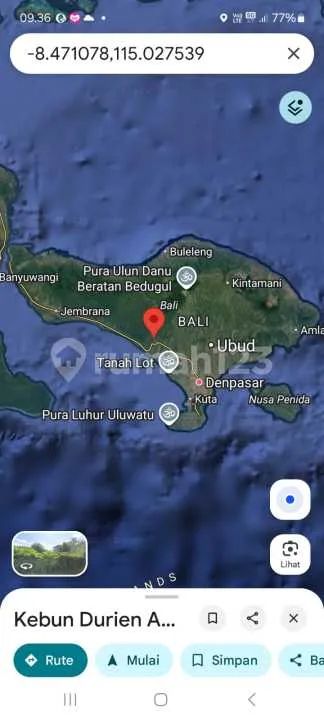 Dijual Tanah Kebun Durian di Tabanan, Bali - Image 4 of 4