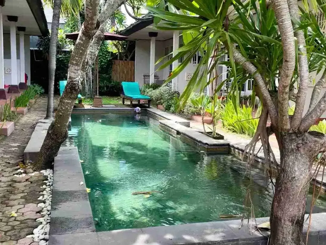 Guesthouse Danau tamblingan sanur - Image 5 of 10