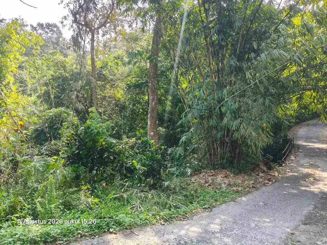 Tanah Kebun Pinggir Sungai dekat Pantai Kelecung Bali - Image 2 of 4
