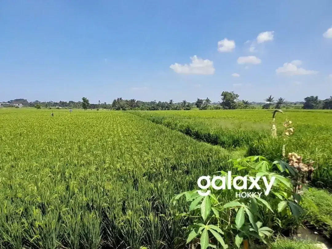 DIJUAL TANAH KAVLING ZONA KUNING DI PONDOK GEDE TABANAN - Image 1 of 5