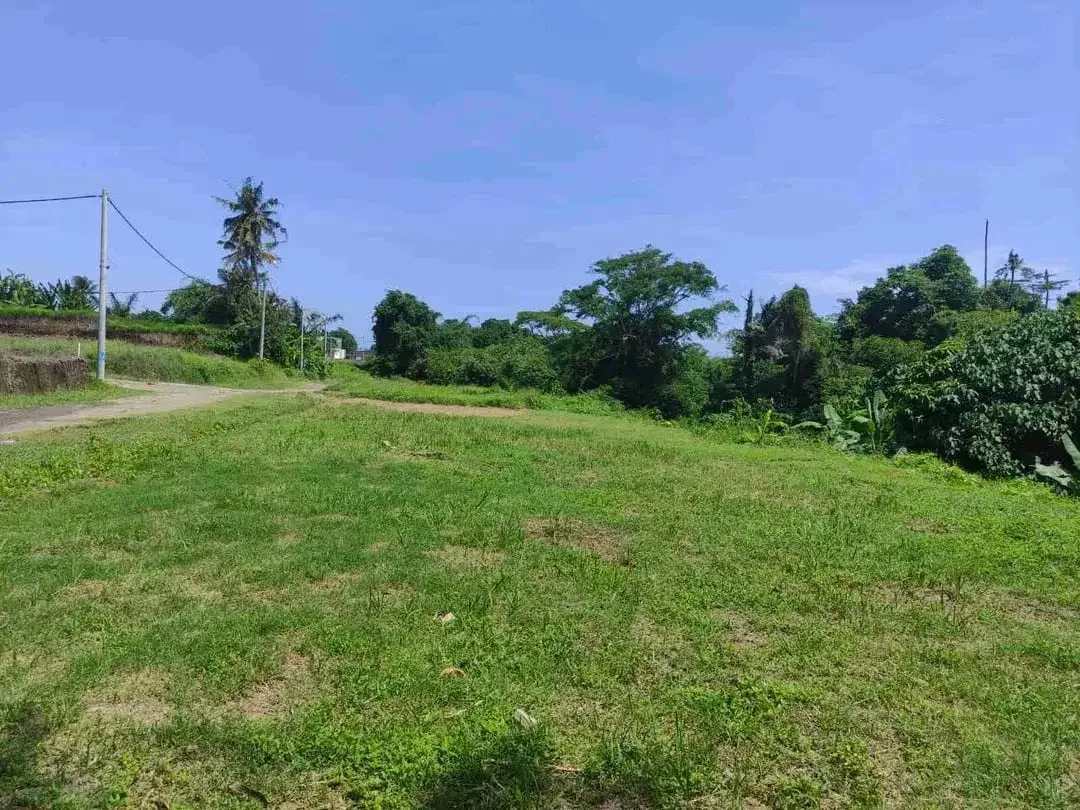 SALE!! TANAH SIAP BANGUN 6,76 HA KETEWEL IDA BAGUS MANTRA - Image 2 of 10
