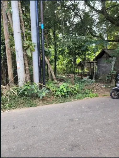 Disewakan tanah murah 4 hektar di Gianyar - Image 2 of 10
