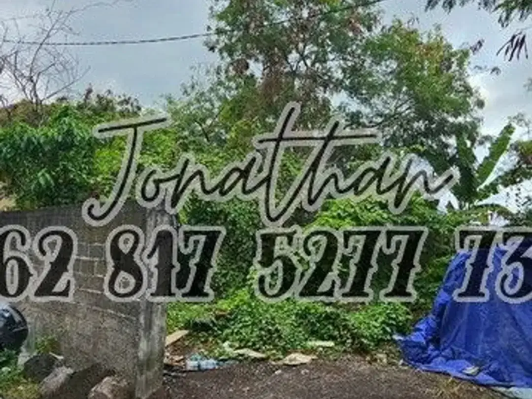 DIJUAL TANAH PLOT KECIL LANGKA VIEW SAWAH DI PADONAN - Lskt - Image 1 of 9