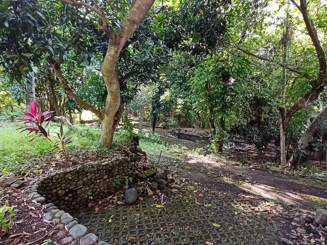 Freehold - Riverside Land for Sale in Prime Canggu, Bali Location - Image 7 of 8