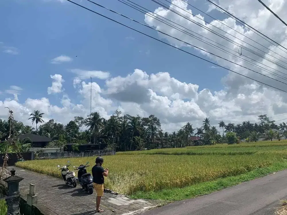 Dijual Tanah View Sawah Dekat ke Central Ubud - Image 6 of 6