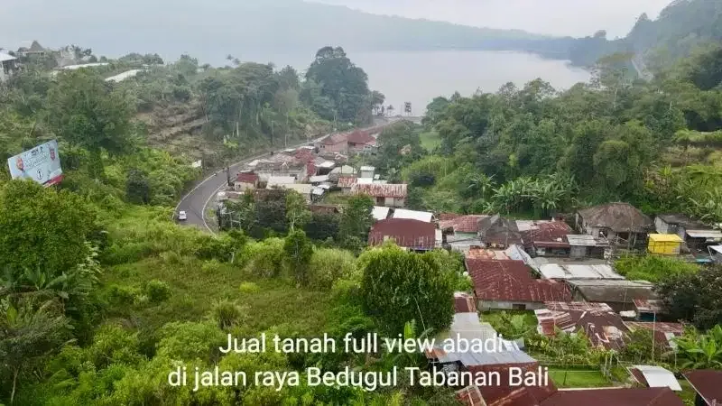 Tanah View Danau Abadi Bedugul Baturiti Tabanan - Image 3 of 10