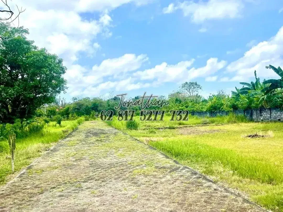 Dijual Tanah Kavling Pantai Balangan Zona Wisata Kuta Selatan - LSADT - Image 2 of 10