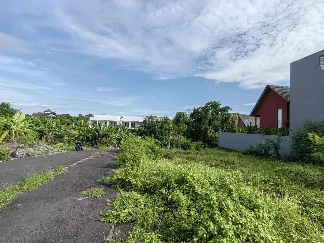 Tanah Premium Jl Subak Canggu - Image 5 of 10