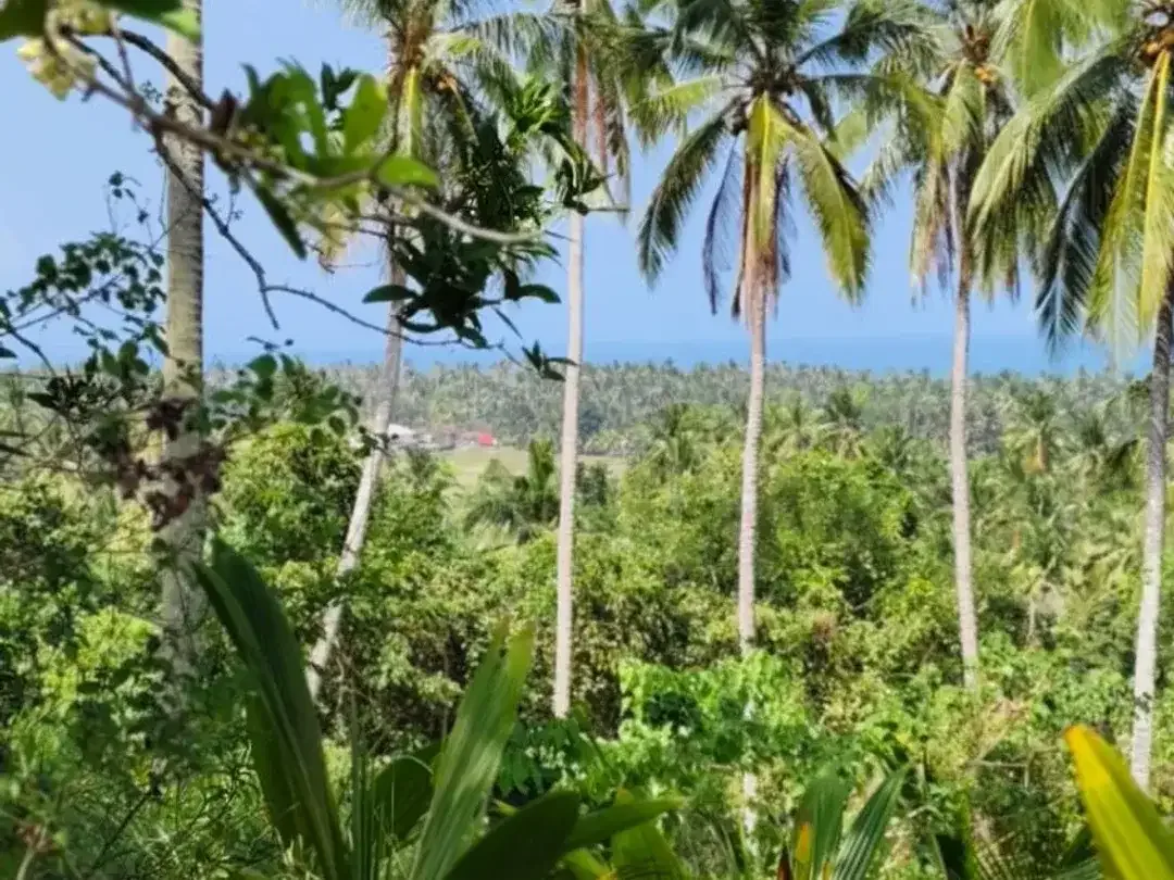 DIJUAL TANAH LUAS – BALIAN BEACH, TABANAN - Image 5 of 10