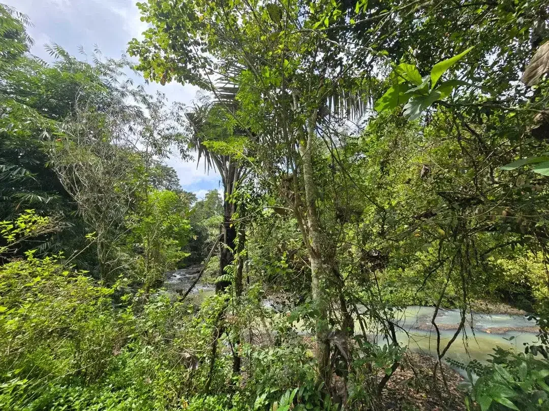 Dijual tanah view sungai dekat villa galalima glamping bali - Image 8 of 10