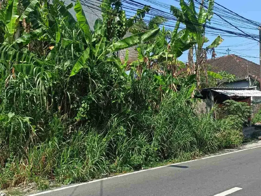 Tanah 1,3are di Jalan Utama Siulan Penatih Dekat Gatsu Timur Tohpati Sanur - Image 2 of 3
