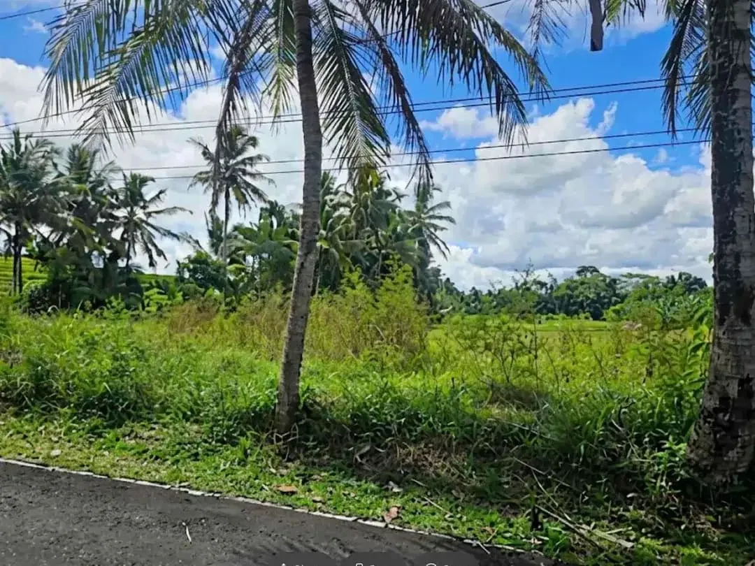 For Lease Exclusive Land Ubud - Image 6 of 7