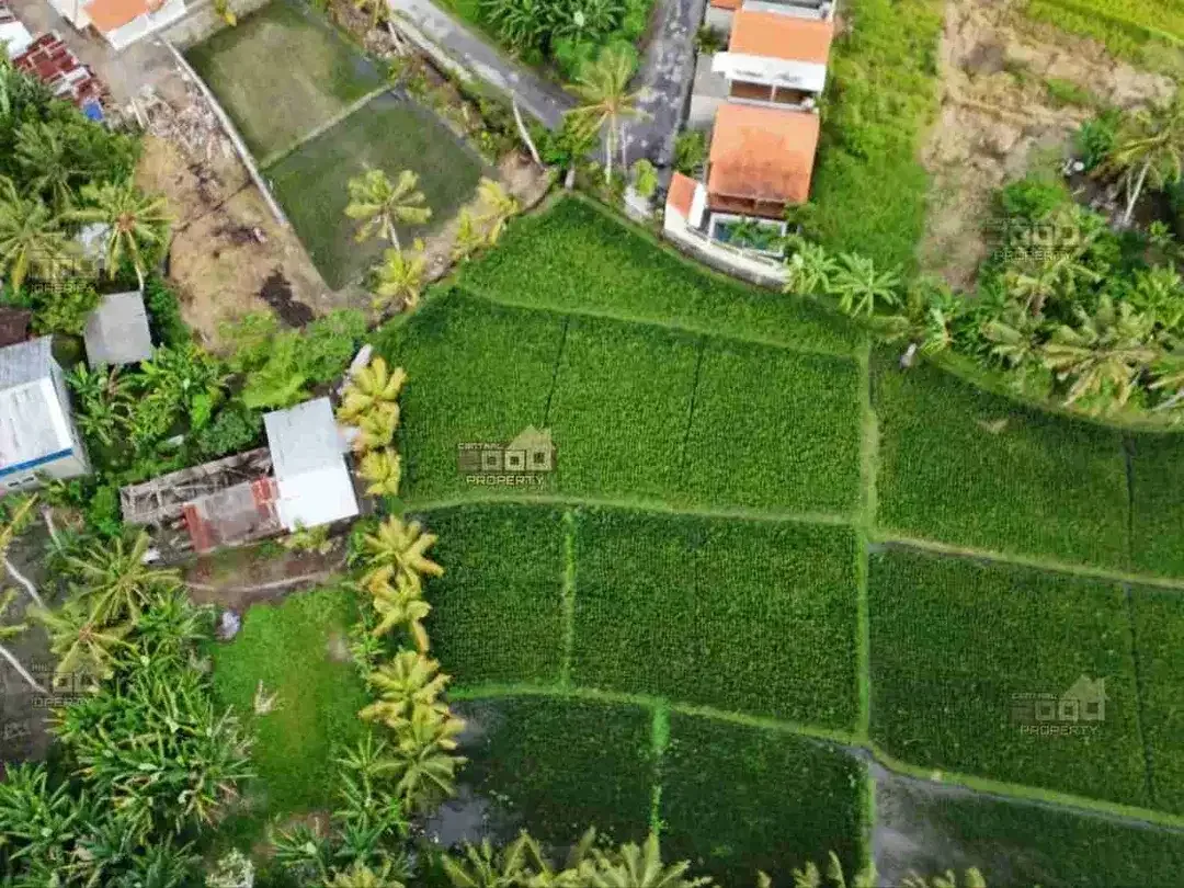 New Project Tanah Kavling Pantai Nyanyi, Bali - Image 2 of 8