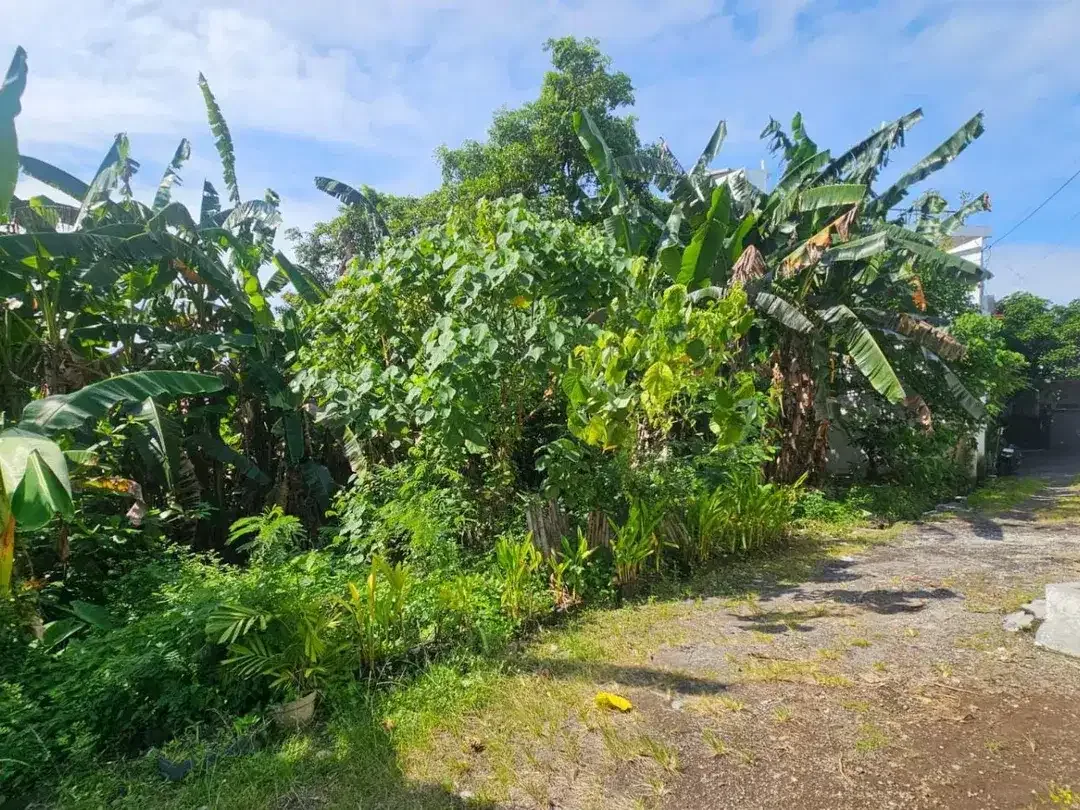 Tanah – Tegal Cupek, Umalas Lingkungan Villa - Image 10 of 10