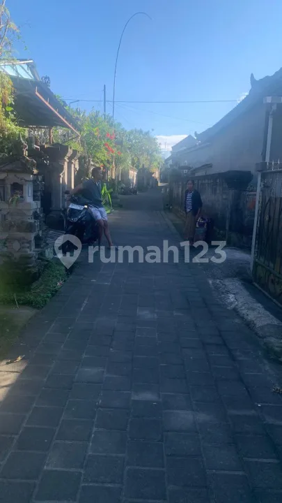 Dijual Rumah di Manukaya Tampaksiring View Sawah - Image 3 of 3