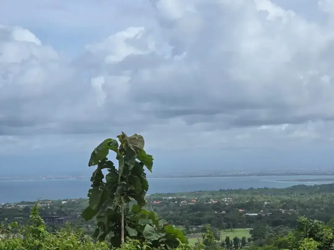 TANAH DI JUAL ATAU DI SEWAKAN VIEW LAUT LOKASI BINGIN CEMONGKAK - Image 3 of 10