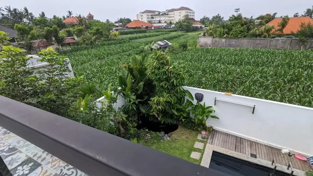 Villa View Sawah Full Furnish Di Saba Gianyar Dkt Flamingo Bali Safari - Image 4 of 10
