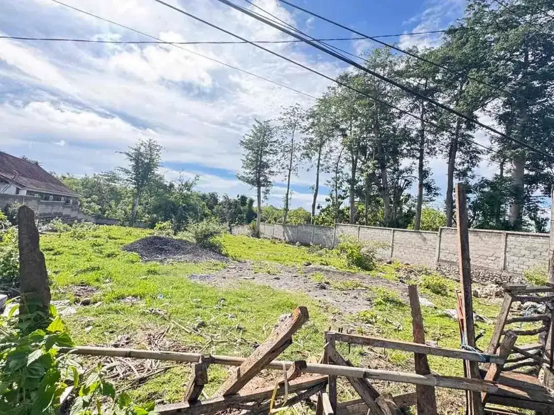 HOT DEAL! di sewakan Tanah 15 Are Jalan Utama Balangan - Image 4 of 9