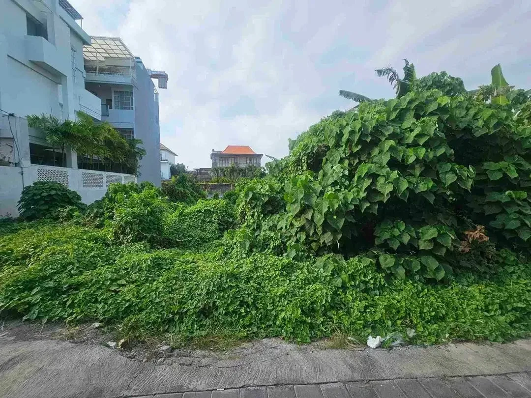 tanah premium canggu - Image 6 of 8