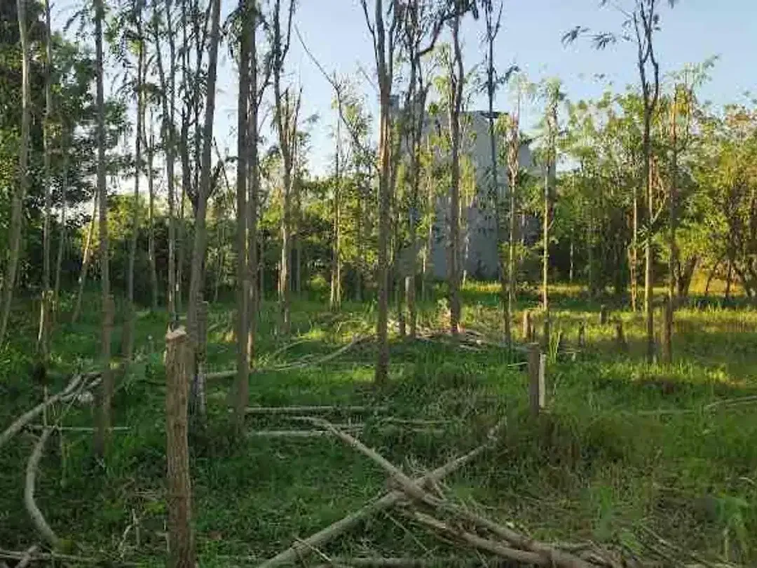 Dijual tanah kavling berlokasi di Jimbaran Bawah - Image 9 of 10
