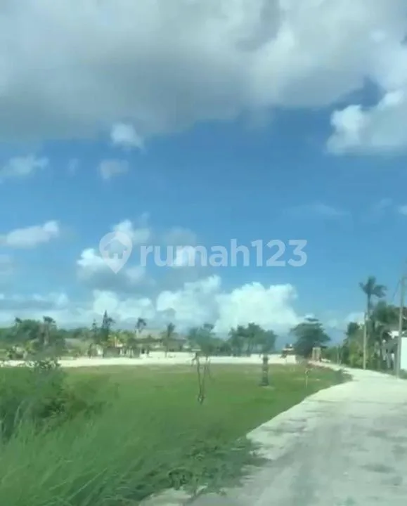 Tanah Strategis Zona Pink Turun Harga Dibawah Pasaran, Tabanan - Image 1 of 4