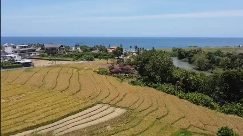 Tanah Cemagi 1,3 Hektar dekat pantai dan muara sungai - Image 3 of 3