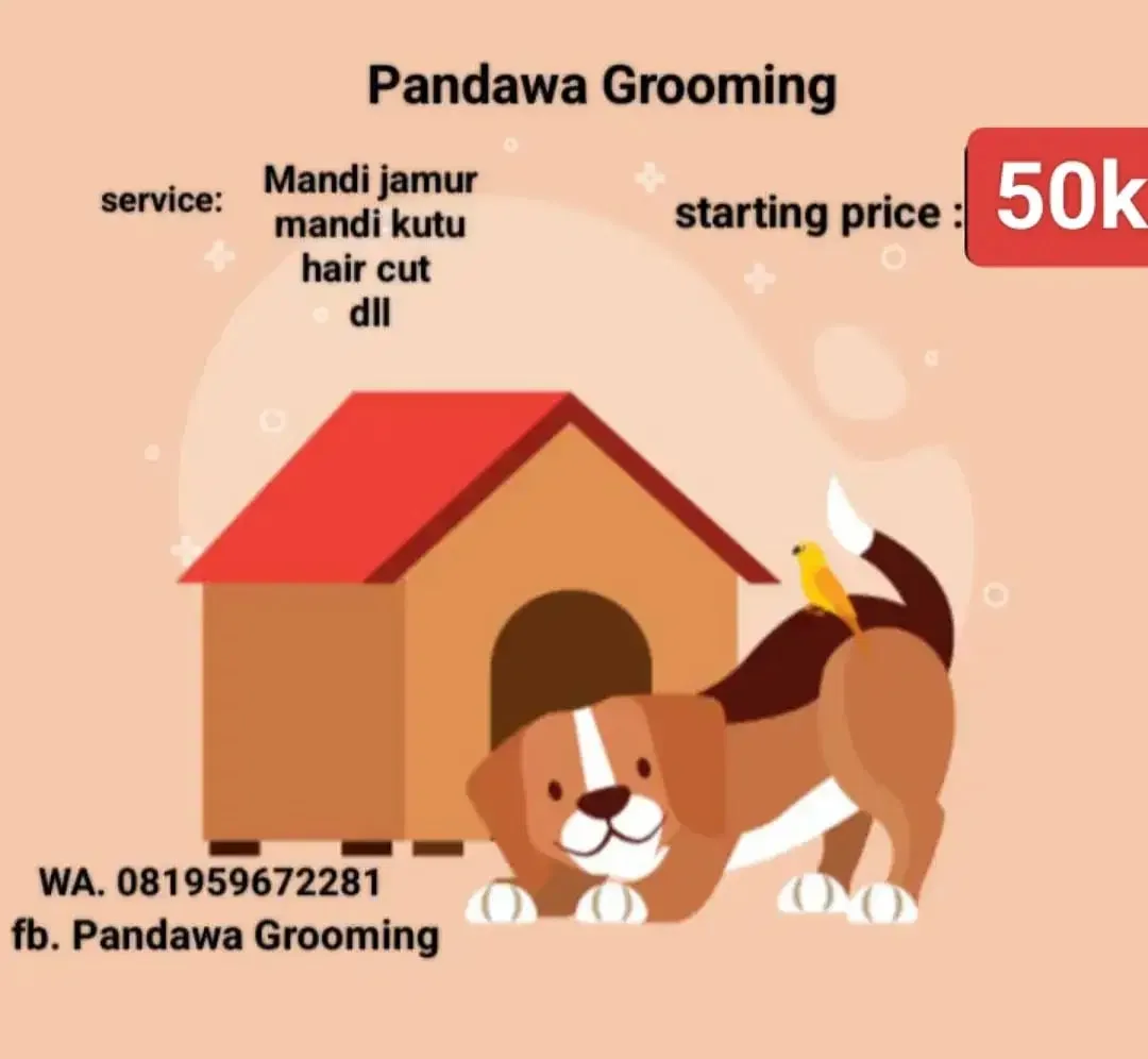 Jasa mandi anjing panggilan - Image 1 of 5