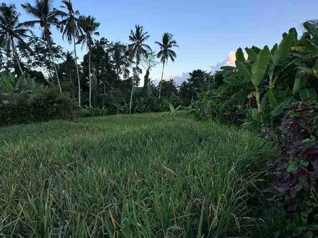 Lahan Premium View Sawah dan Jungle Area Tirta Tawar Ubud - Image 2 of 10
