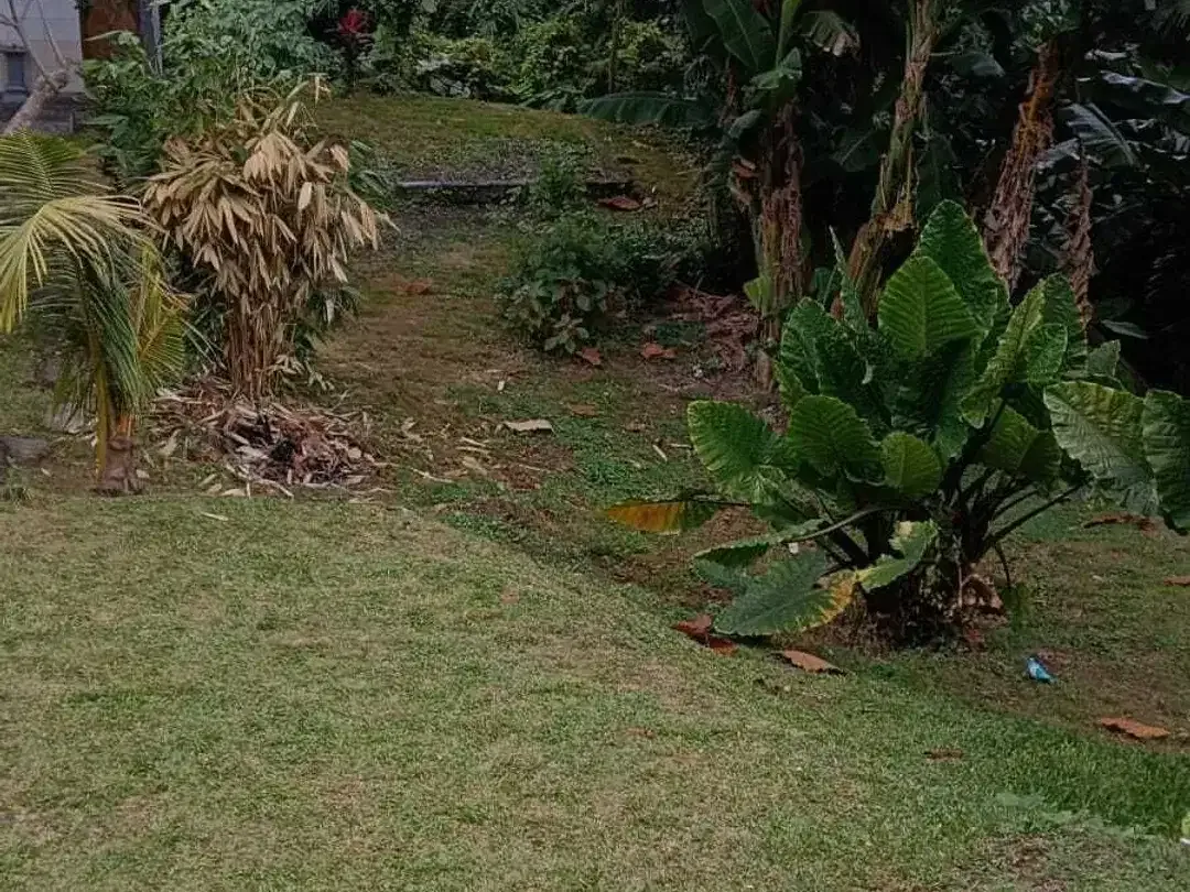 Land for sale in Kaba Kaba, Bali - Image 3 of 7
